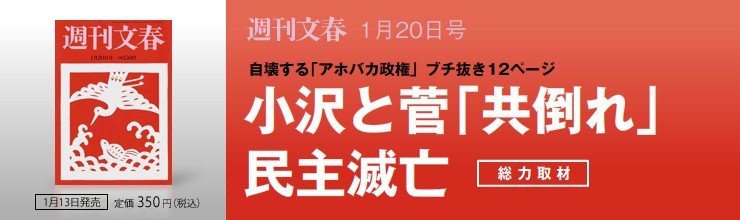 �T�����t 1��20���� ���͎�ށ@����Ɛ��u���|��v����ŖS