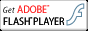 Get Adobe FLASH PLAYER