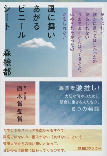 『風に舞いあがるビニールシート』の書影