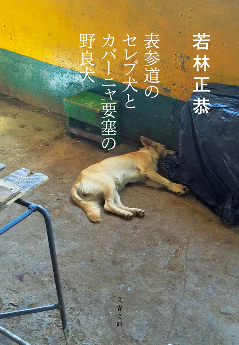 『表参道のセレブ犬とカバーニャ要塞の野良犬』の書影