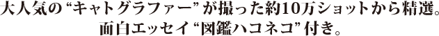 lĆgLgOt@[hB10Vbg琸IBʔGbZCg}ӃnRlRhtB