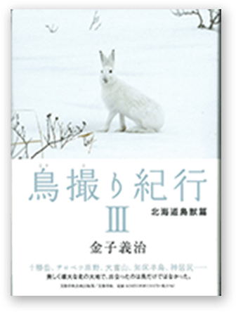鳥撮り紀行Ⅲ