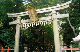 塩釜神社