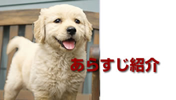 文藝春秋 犬と私の10の約束