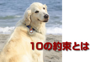 文藝春秋 犬と私の10の約束