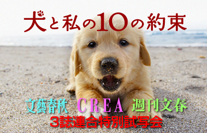uCREAvuTtvuYtHv3Aʎʉ